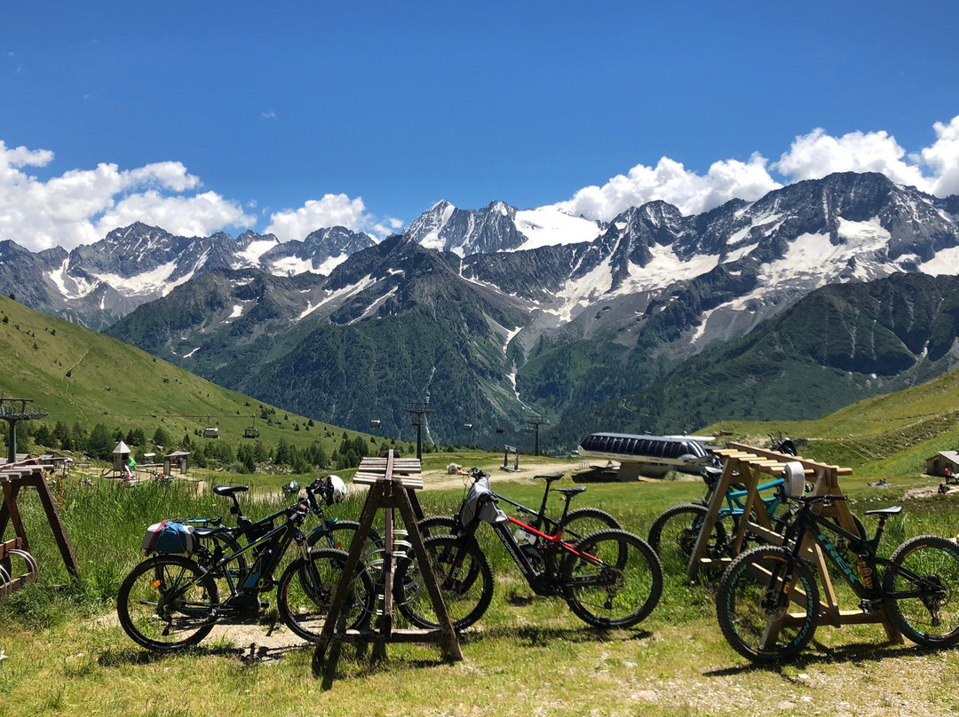 Alpine Marmot Village景点图片