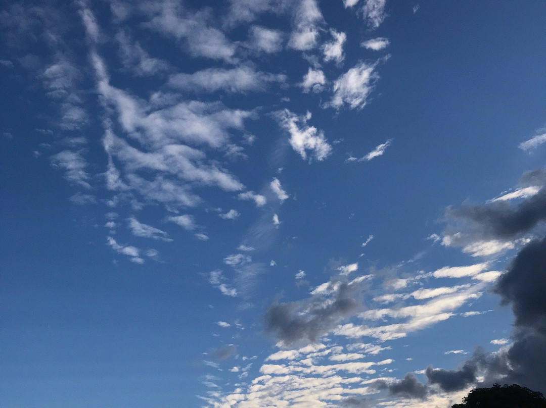 Montis Maurelli主图