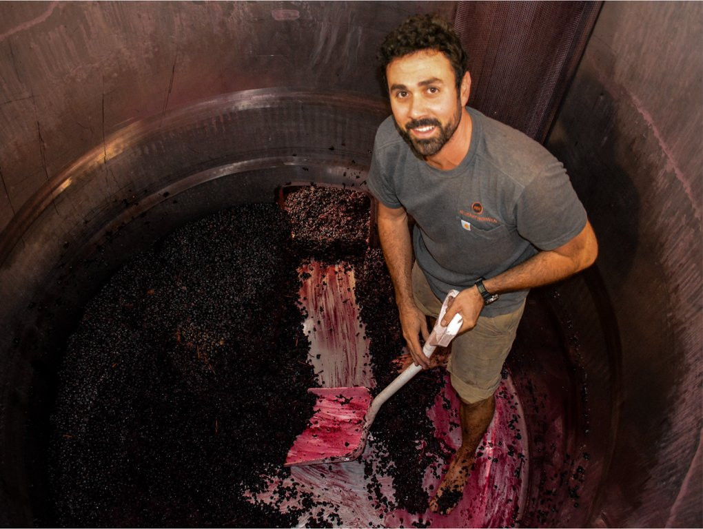 Harvest Tours-Cowaramup必去景点