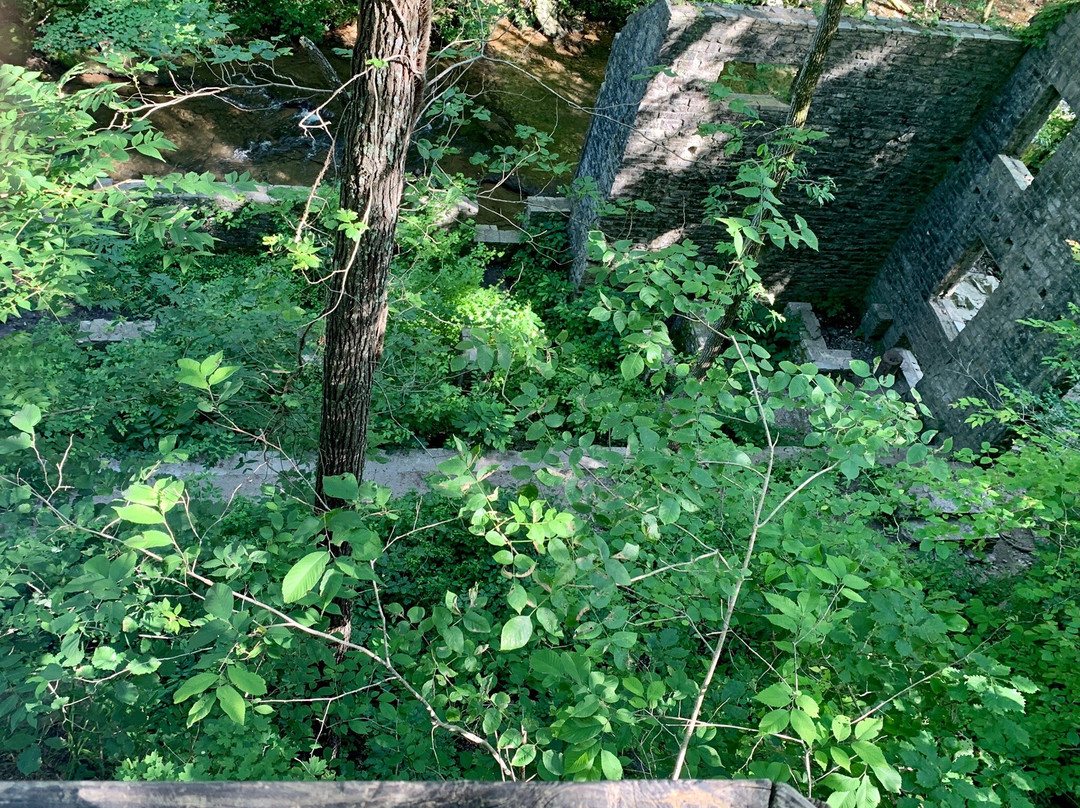 The Old Mill-山景城必去景点