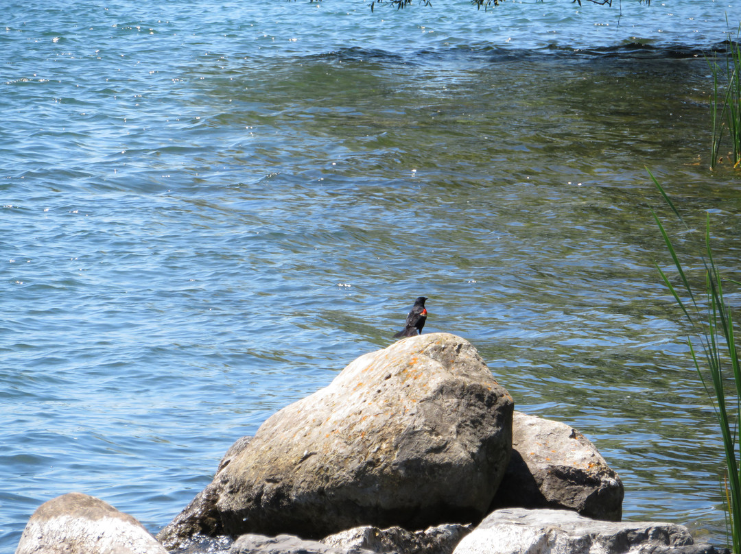 Lamoureux Park-康沃尔必去景点