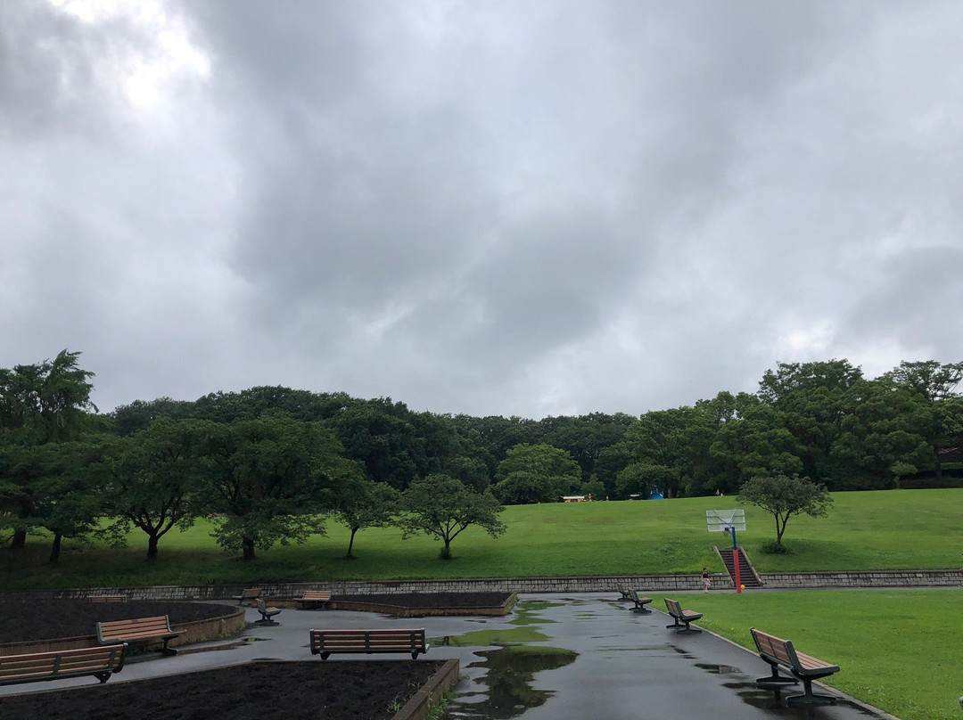 Kodomo-no-Kuni-横滨市必去景点