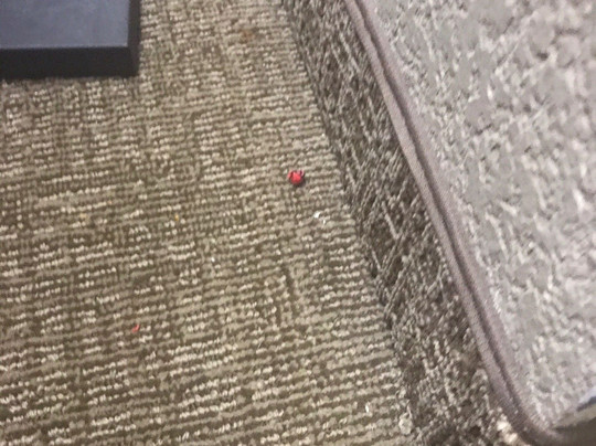 Comfort Inn Blue Ash North主图