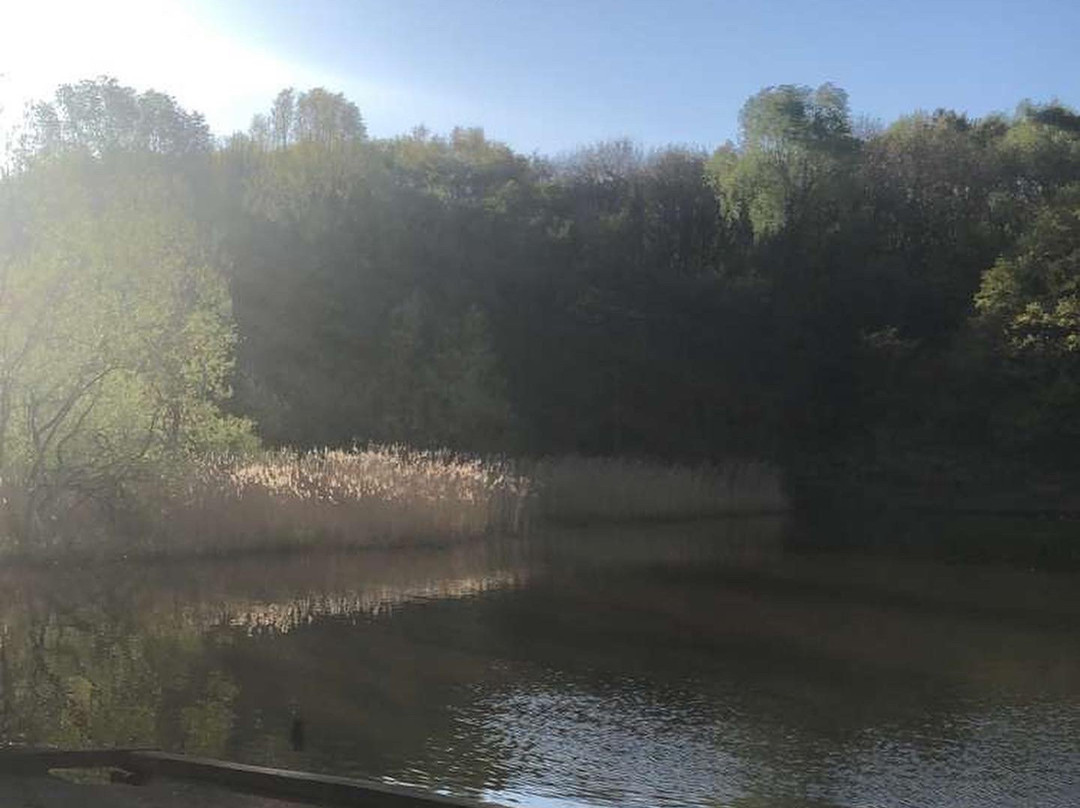 Baggeridge Country Park景点图片