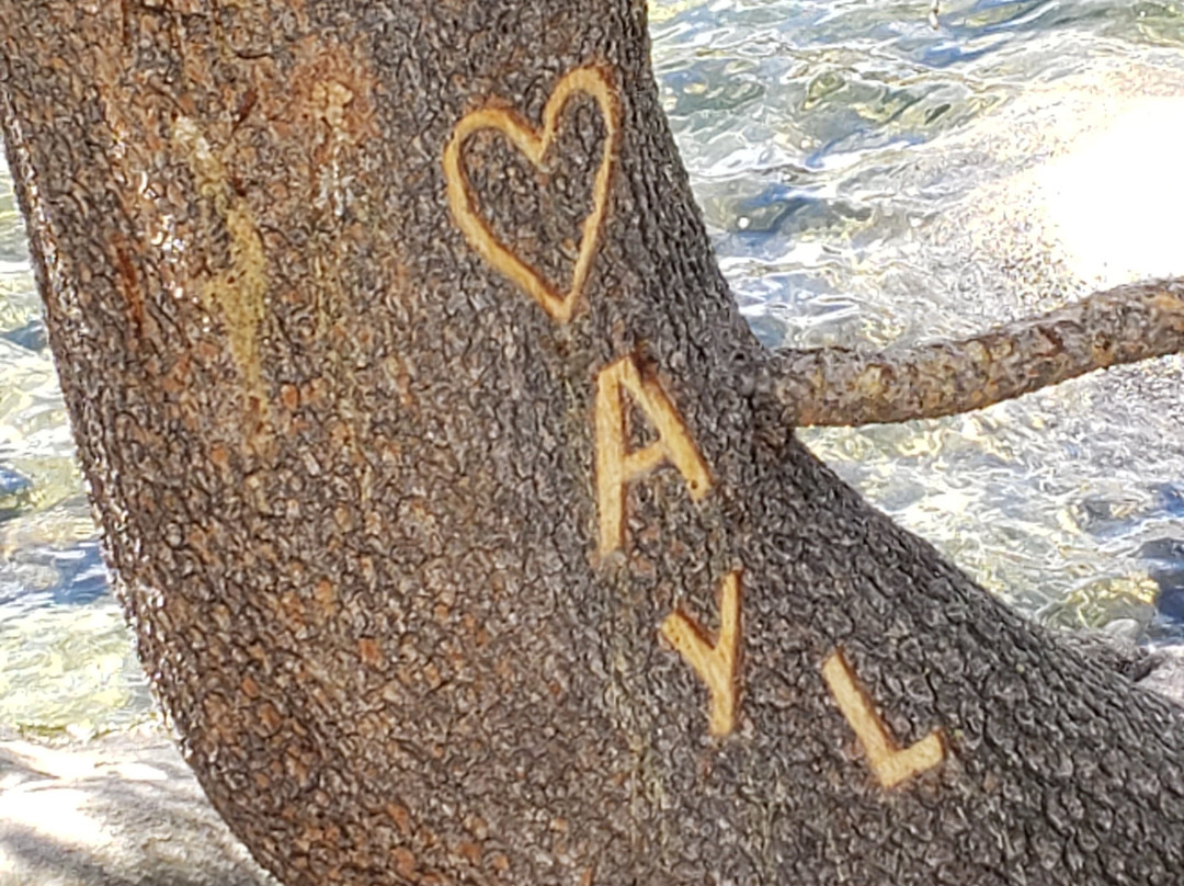 Eagle Lake-太浩湖必去景点