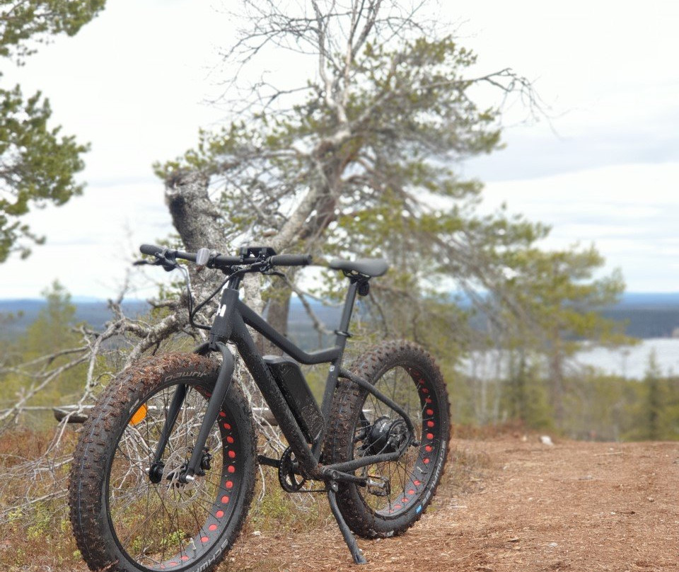 Tailored Adventures Rukapalvelu Ltd-库萨莫必去景点