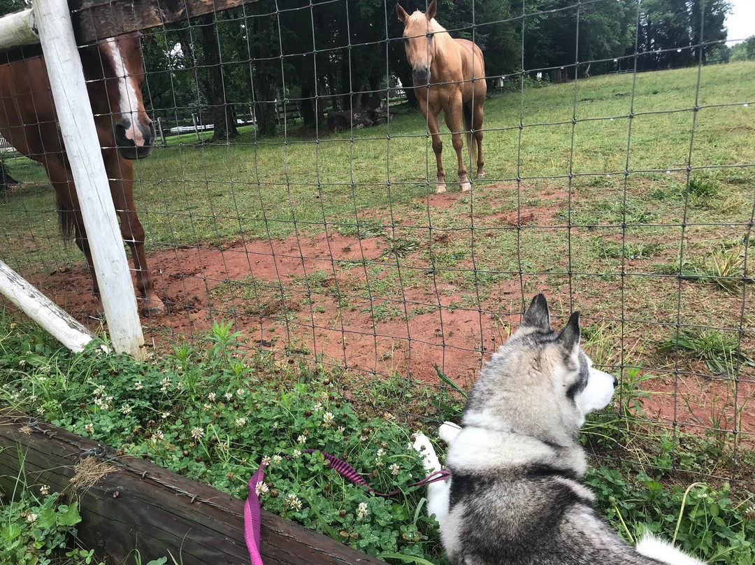 Prospect Hill Inn主图