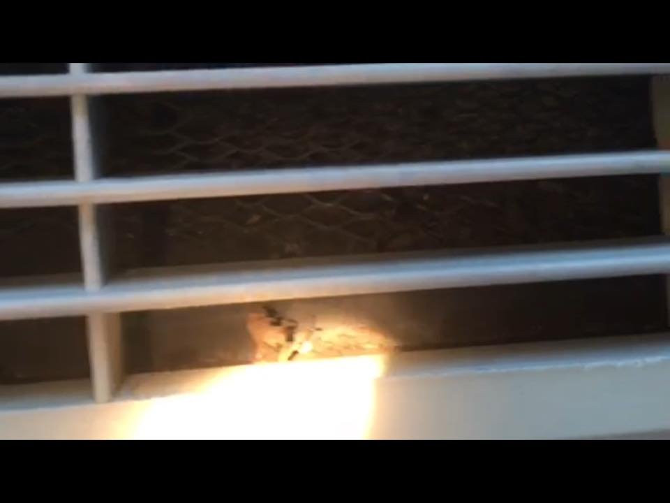 Super 8 by Wyndham Bowling Green North主图