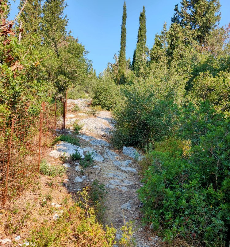 The Cypress Trail-菲斯卡尔宗必去景点