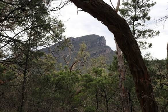 Jallukar State Forest
