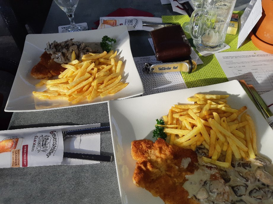 Hotel-Restaurant Hollaender Hof主图