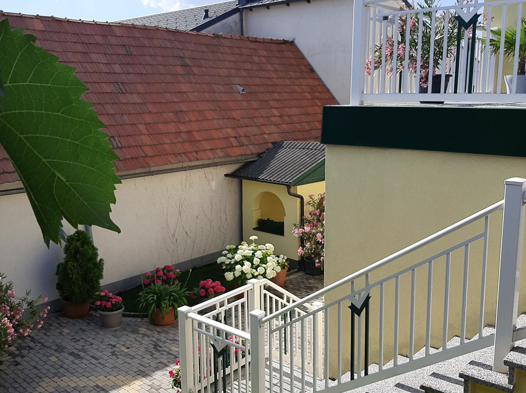 Pension Peterhof主图