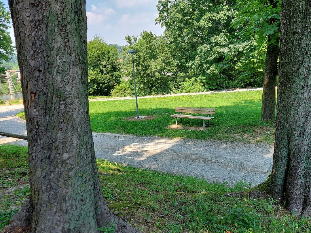 Albiate旅游攻略图片