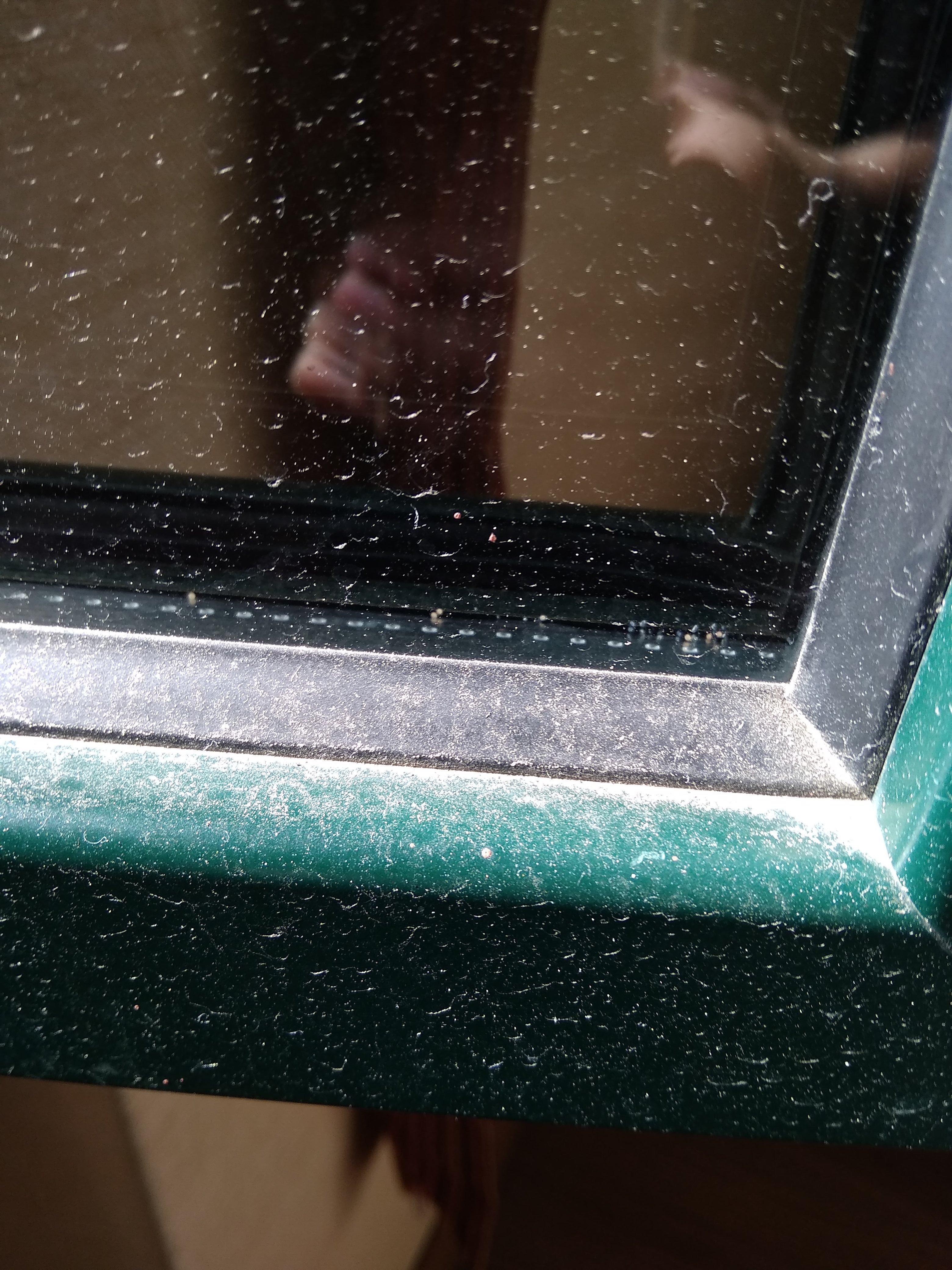 Cascina Marisa-官方