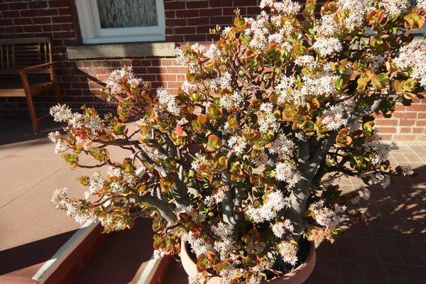 John Galvin Park-安大略必去景点