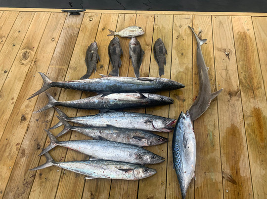 SeaQuest Charters-美特尔海滩必去景点