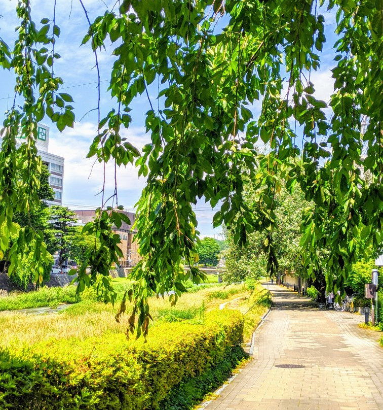 Nakatsugawa Walking Trail-盛冈市必去景点