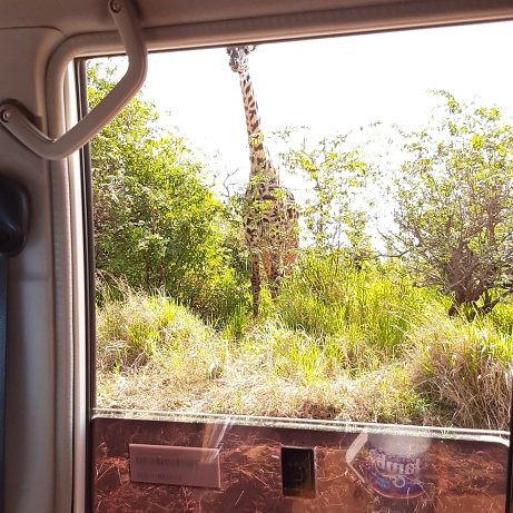 Serengeti Tented Camp - Ikoma Bush Camp主图