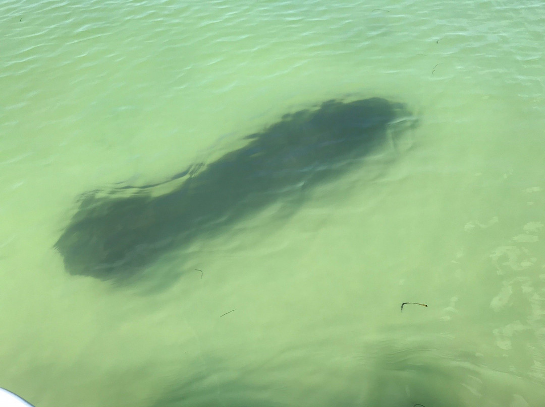 Anclote Key Preserve State Park景点图片