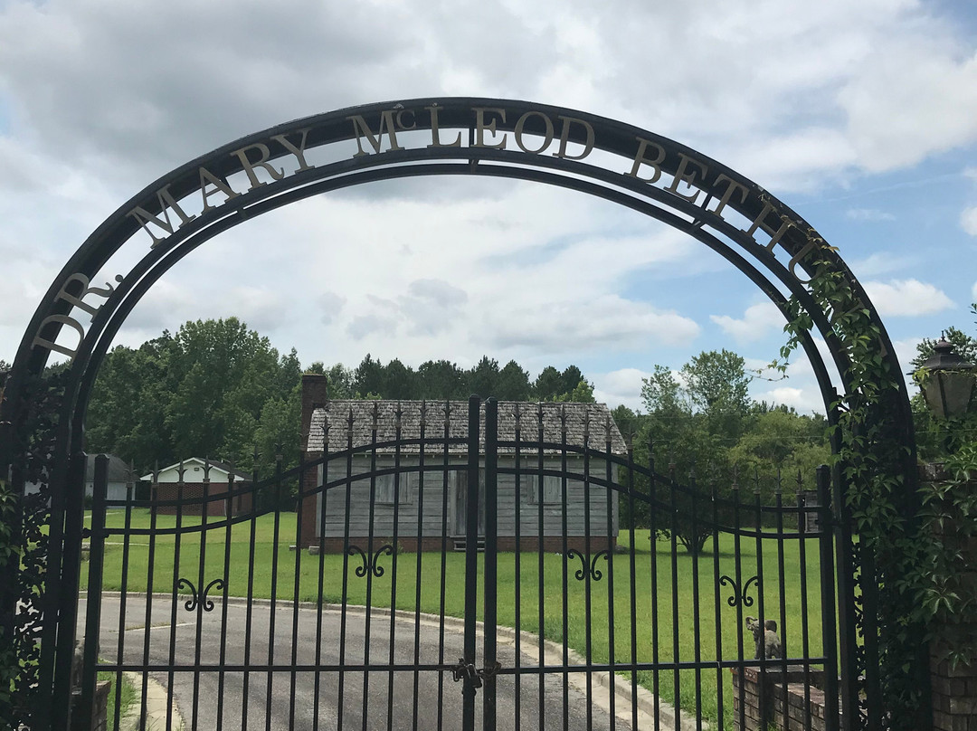 Dr. Mary McLeod Bethune Park景点图片