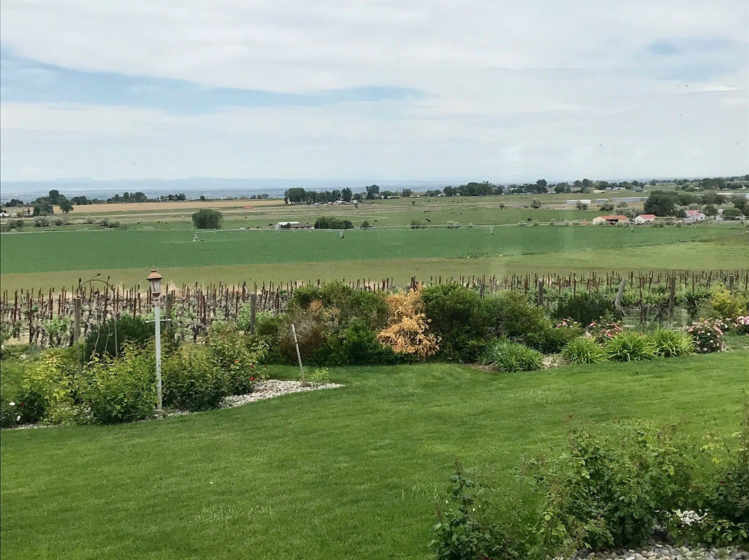 Snyder Winery景点图片