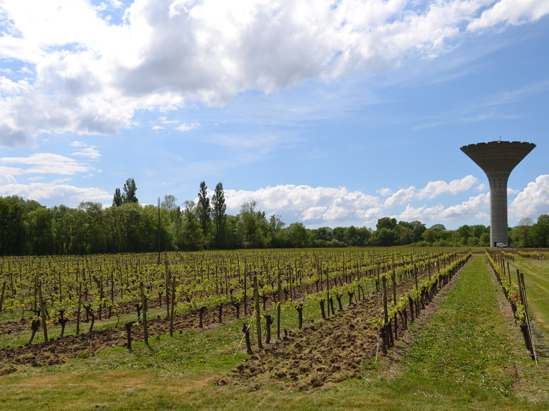 Les Raisins de L'Abbaye-Asnieres-la-Giraud必去景点