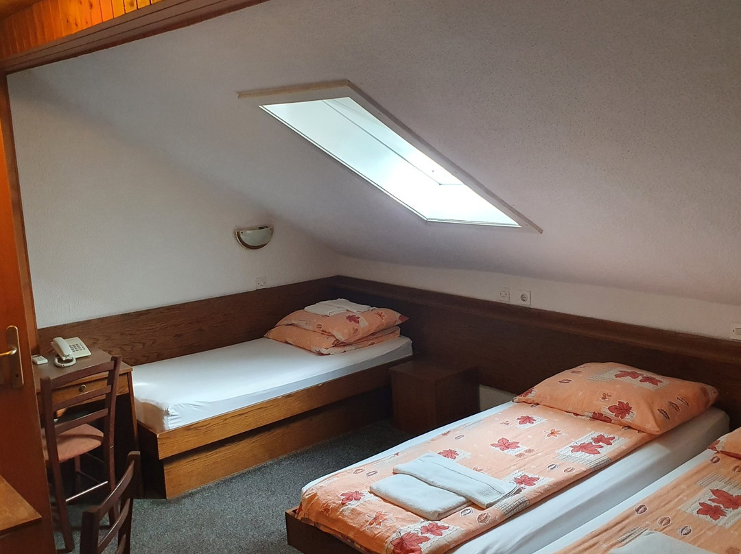 Pri Ancki B&B Bar Ljubljana Suburbs主图