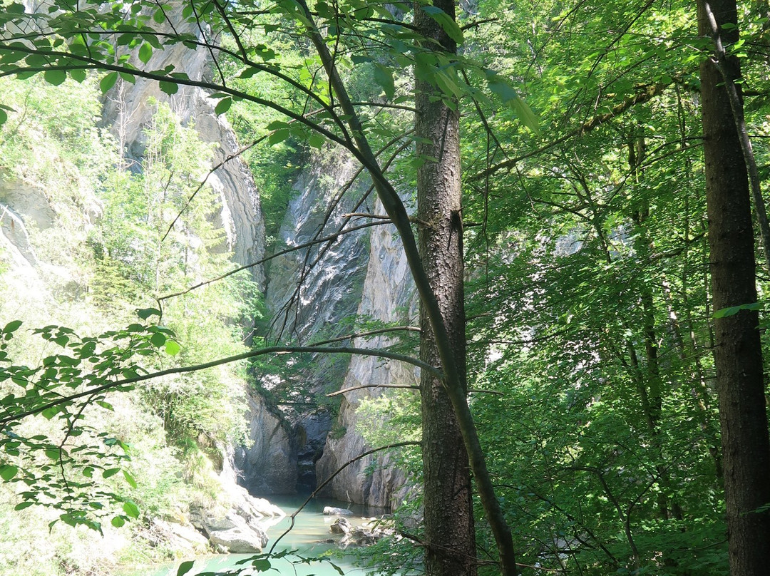 Les Gorges de la Jogne景点图片