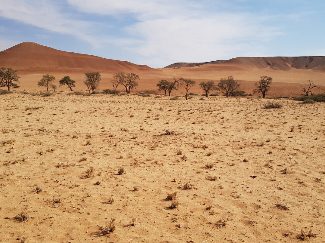 Sossus On Foot Desert Tours-苏丝斯黎必去景点