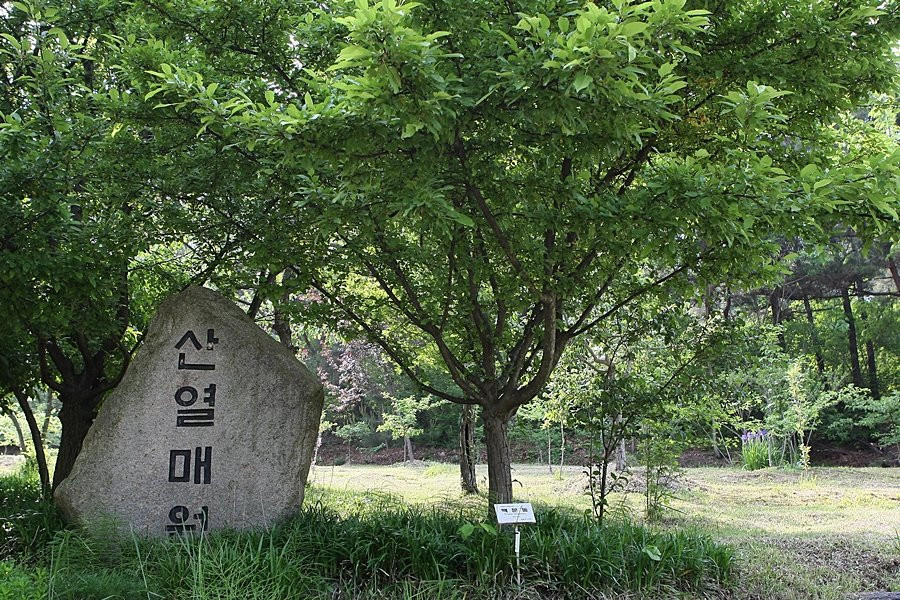 Hwanghaksan Arboretum