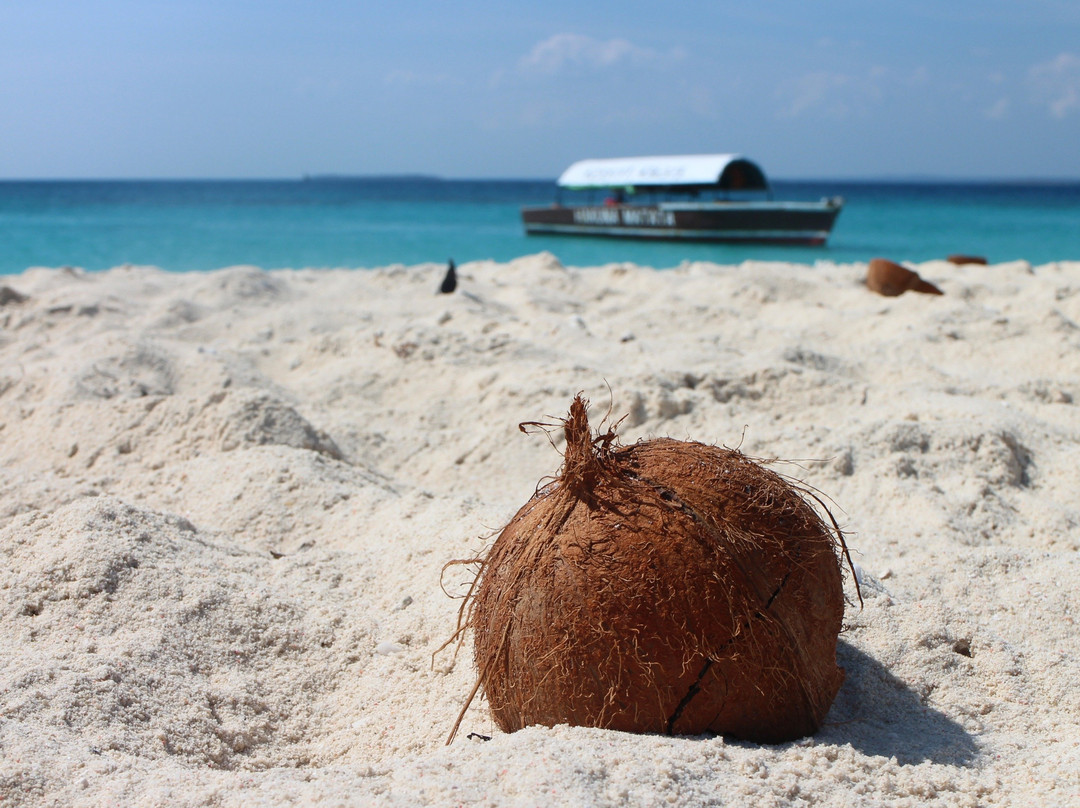 Zanzibar Experience by Rede Tours and Safaris-桑给巴尔岛必去景点