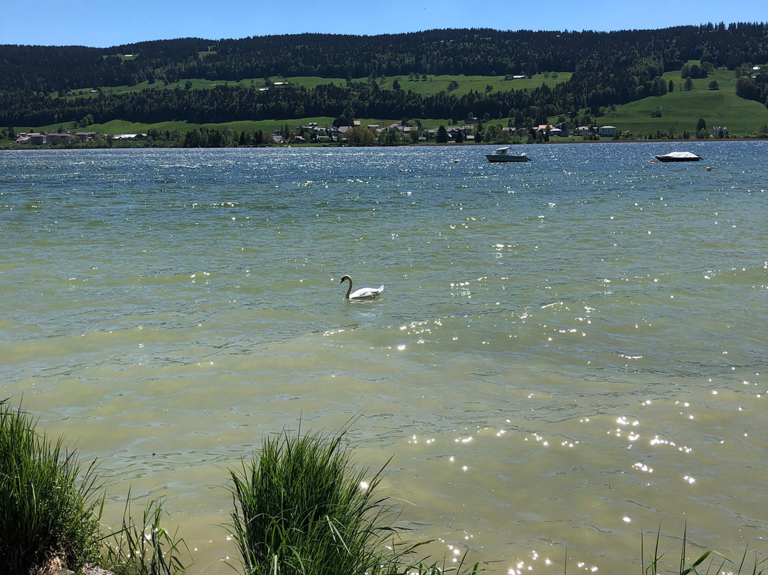 Trail Vallée de Joux-Le Sentier必去景点