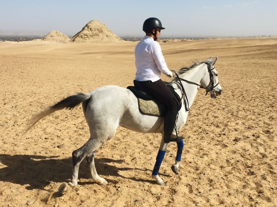 Egypt Horse Riding & Photography-开罗必去景点