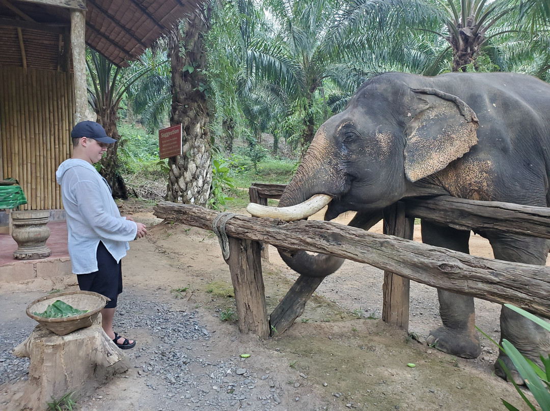 Sonchana Farm and Elephant Sanctuary-素叻他尼必去景点