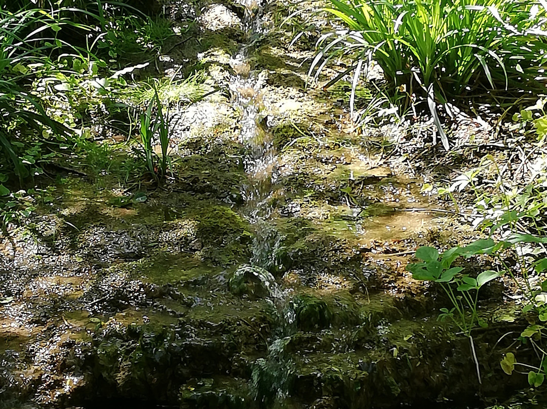 Jardin de la Biodiversite景点图片