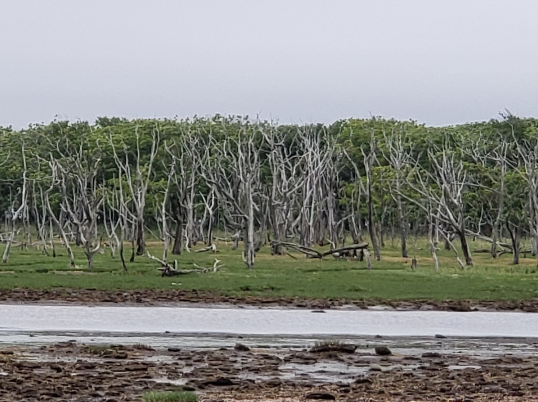 Narawara-别海町必去景点