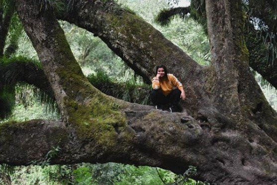 Tilcara Hostel主图