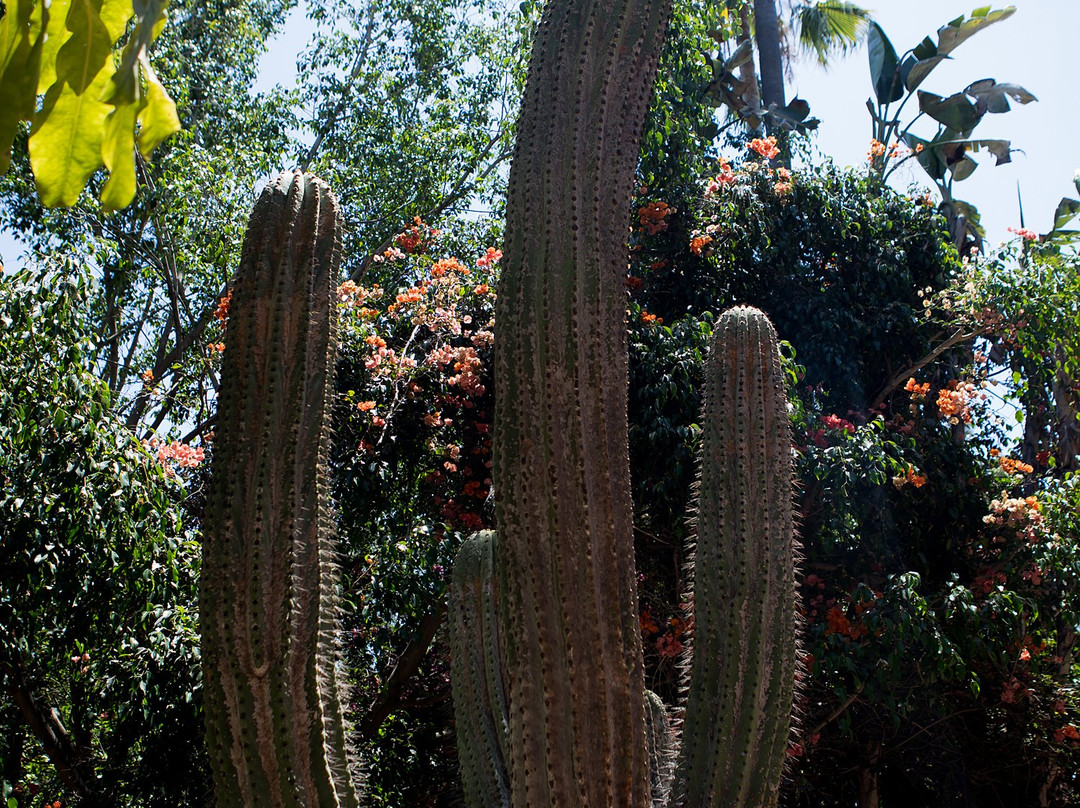 Parque Ecologico Las Aguilas del Teide-特纳里夫必去景点