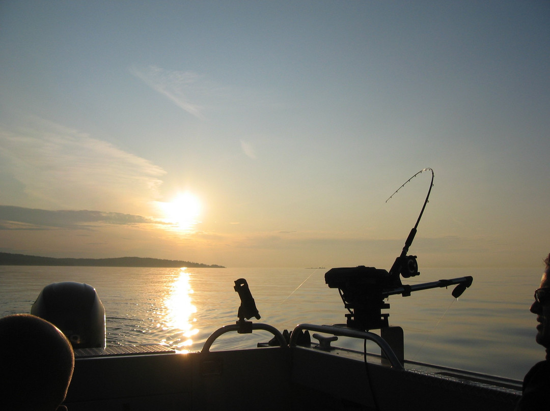 Invictus Charters-纳奈莫必去景点