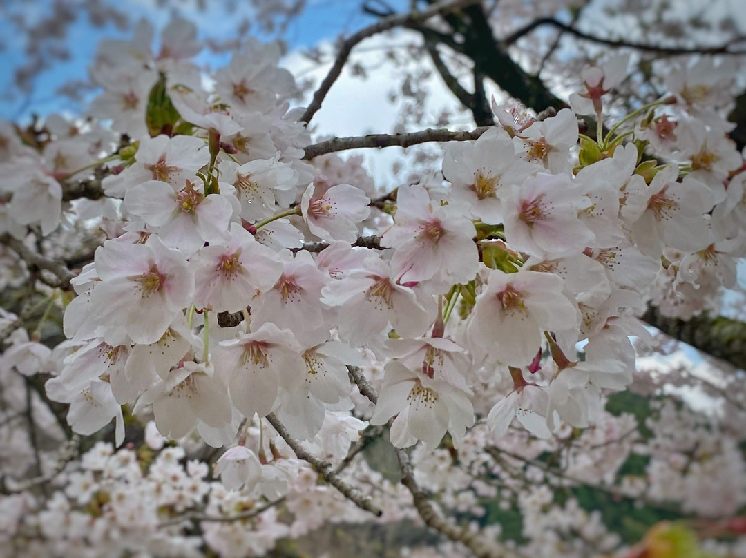Onzui Lake-肉粟市必去景点