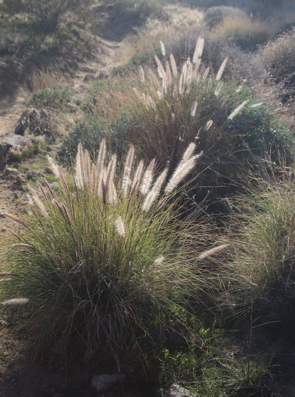 Araby Trail-大教堂城必去景点