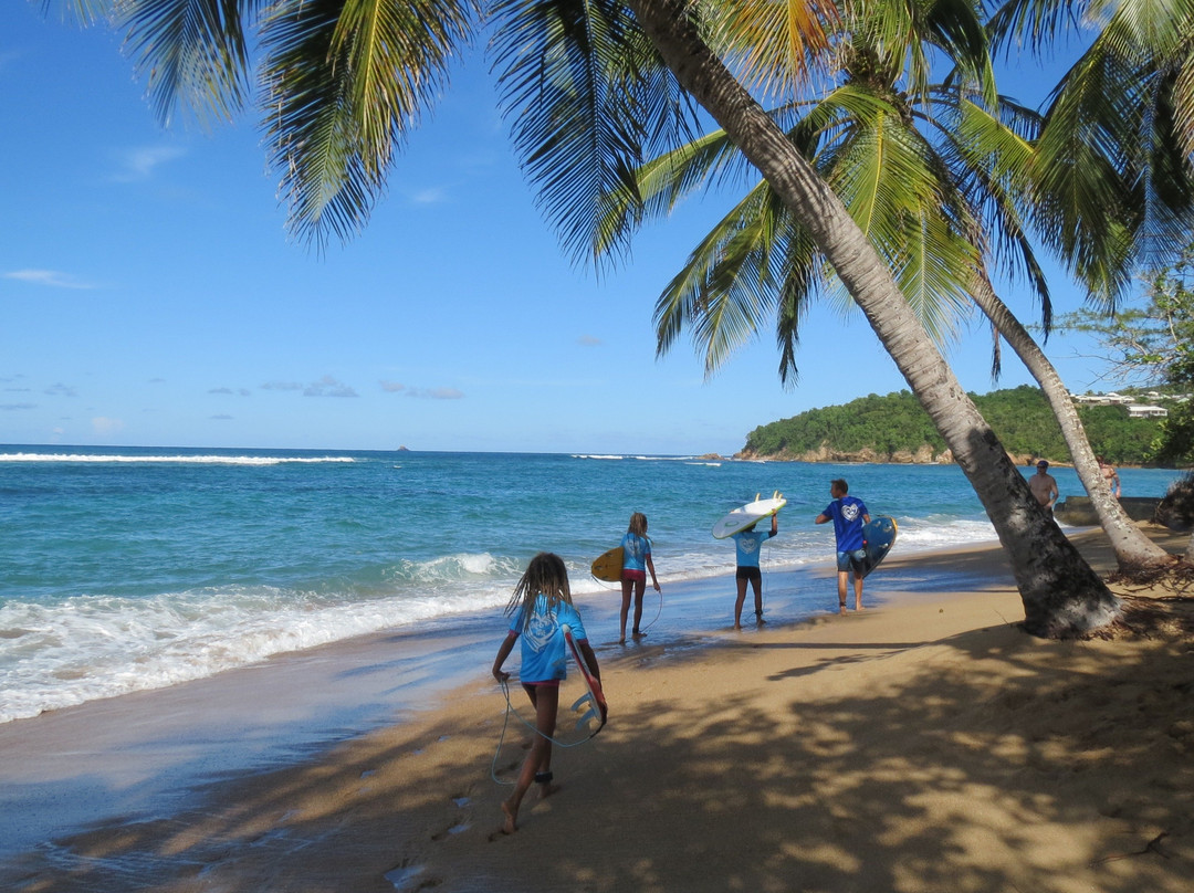 One Love Martinique Surf School景点图片