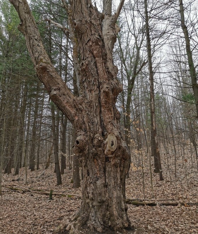 Ardagh Bluffs-巴利必去景点