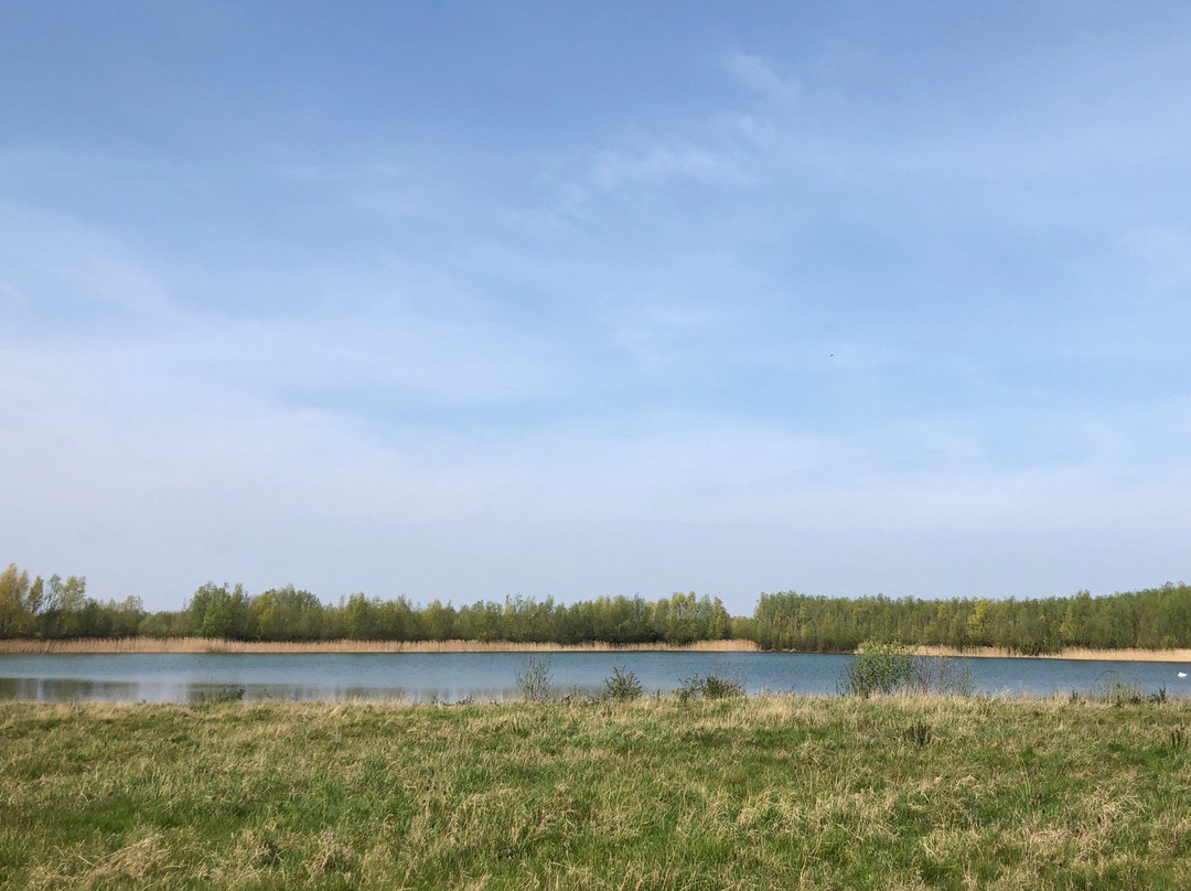 The Hanson-RSPB Wetland Project Ouse Fen Nature Reserve景点图片