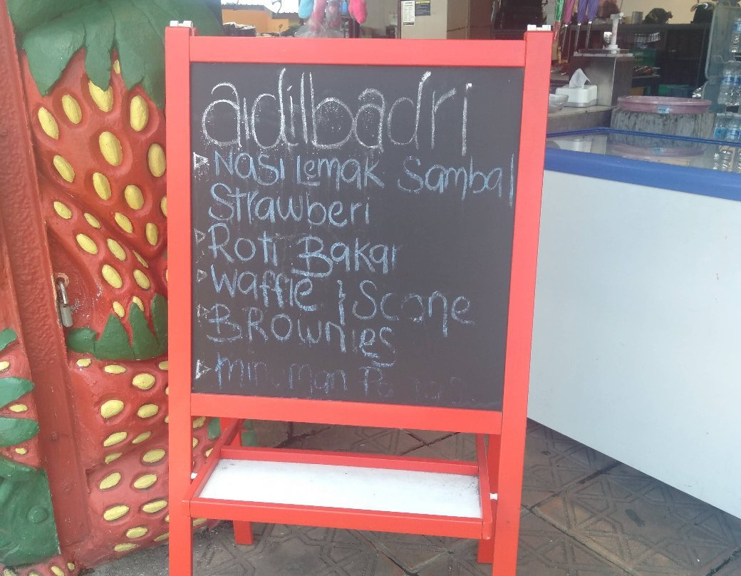 Aidilbadri Strawberries-丹那拉塔必去景点