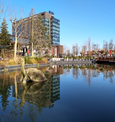 Iulius Gardens-蒂米什瓦拉必去景点