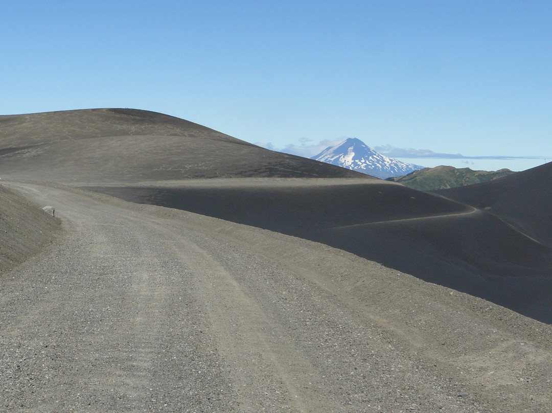 Eco Tour Terra-Curacautin必去景点