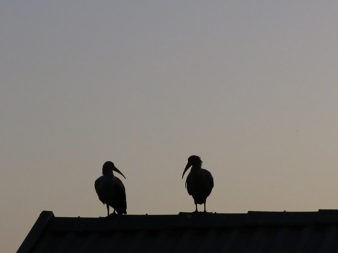 La-Peng Guesthouse主图