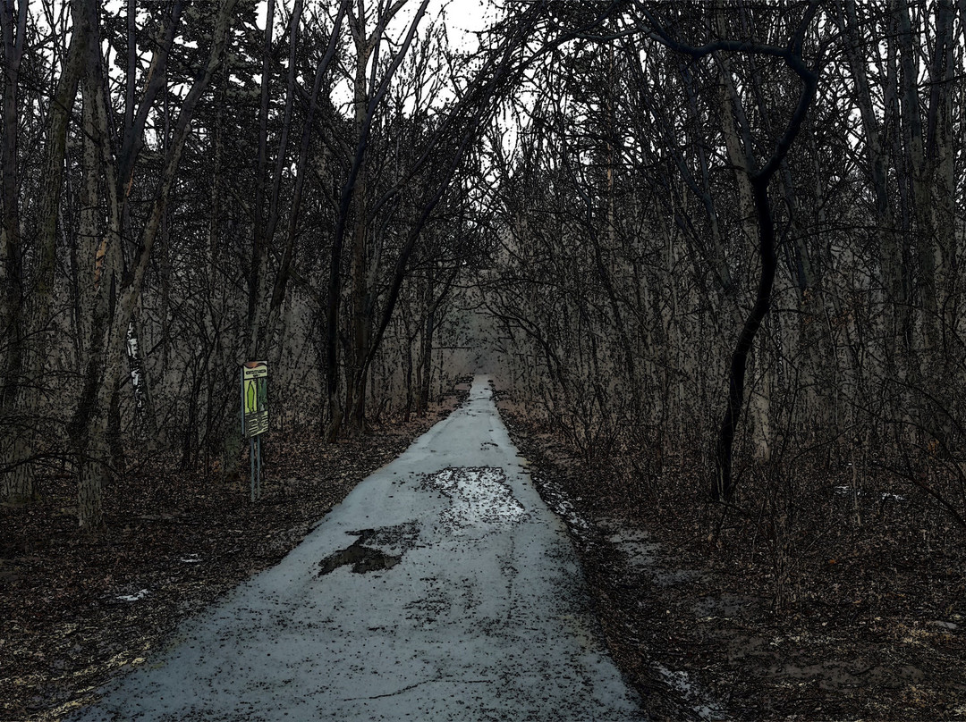 Khabarovsk Arboretum-哈巴罗夫斯克必去景点