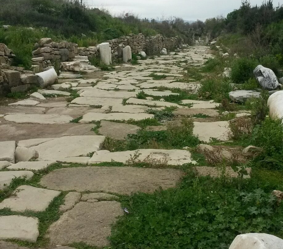 The Temple of Apollo景点图片